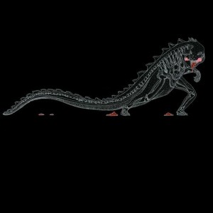 artworks-000087213396-420bfw-t500x500