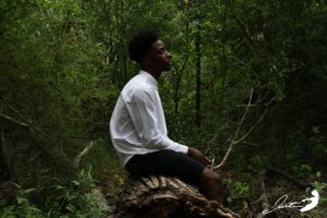 justin-tree