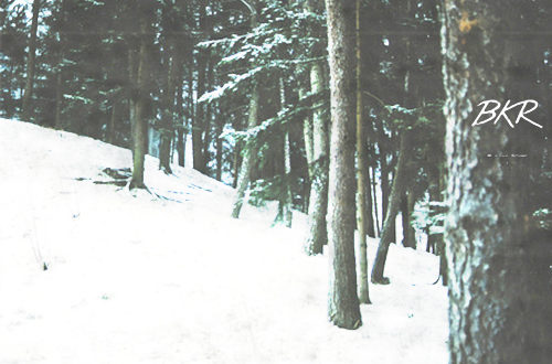 Winters Prelude