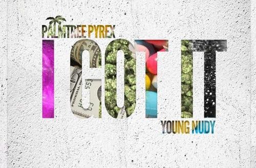 Palmtree Pyrex