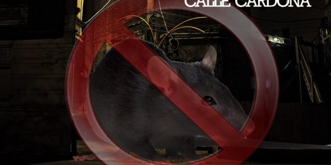 Ratón